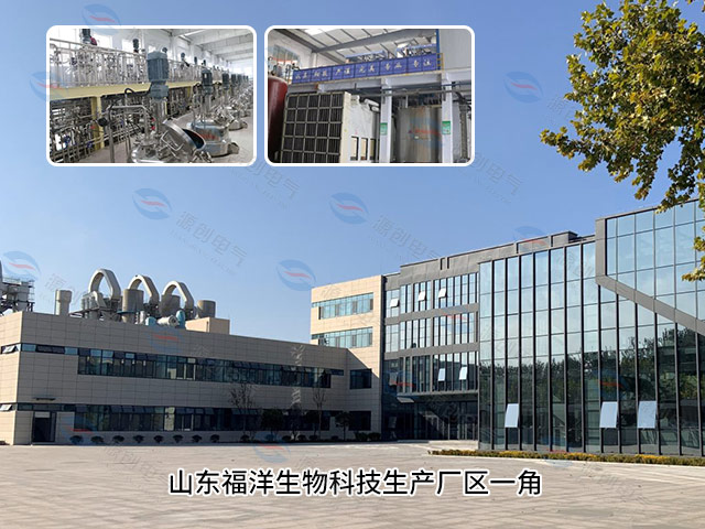 山東福洋生物科技生產廠區(qū)一角 山東福洋生物科技生產廠區(qū)一角