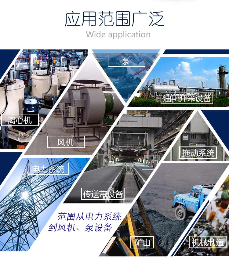 高壓固態(tài)軟啟動(dòng)柜,襄陽高壓固態(tài)軟啟動(dòng)柜廠家,湖北高壓固態(tài)軟啟動(dòng)柜